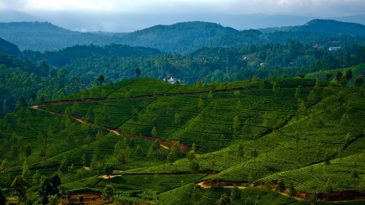 Lakshan View Resort Haputale Exteriér fotografie